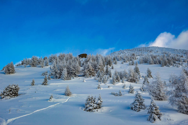nízký úhel pohledu sněhu zahrnuty hill s vzdáleného domu - Fotografie, Obrázek