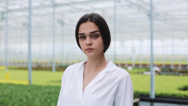 Agricultural engineer in greenhouse wearing white coat looking into the camera with arms crossed. Portrait of a smiling woman in greenhouse - Materiał filmowy, wideo