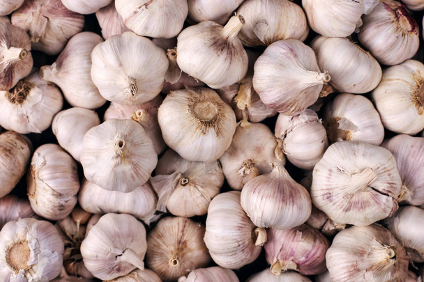 Vitamin healthy food spice image. Spicy cooking ingredient picture. White garlic pile texture. Fresh garlic on market table closeup photo. Pile white garlic head heap top view. - Foto, afbeelding