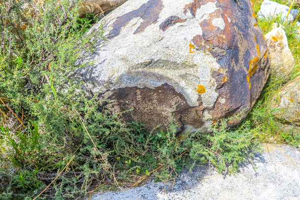 Cholpon Ata Petroglifos con Piedra Tallada Imágenes de Animales Caballos Ciervos Camellos Cazadores Balbales
 - Foto, Imagen