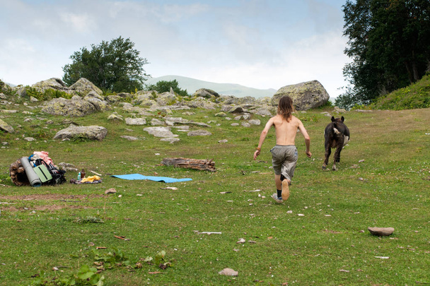 The calf runs away on a rocky meadow covered with grass from a half-naked tourist in checkered shorts with long hair - Фото, изображение
