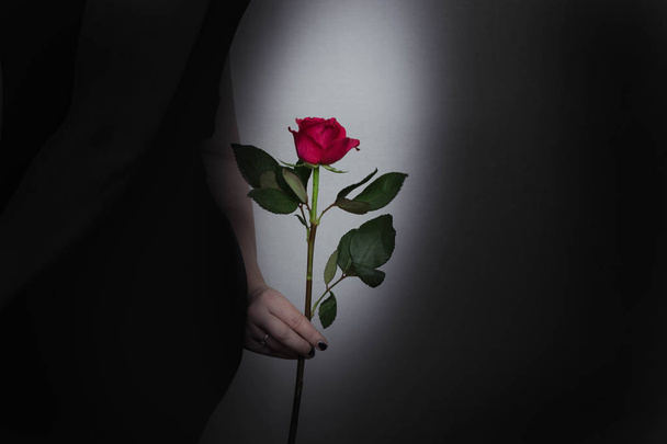 Frau mit roter Rose in der Hand in Nahaufnahme, romantisches Valentinskonzept - Foto, Bild