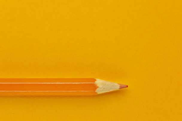One orange pencil on an orange background ,beautiful monochromatic effect - Foto, Imagem