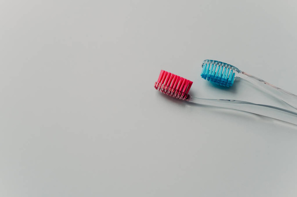 concetto di cura dei denti. Due spazzolini multicolore per il vostro uso isolato su sfondo bianco con spazio vuoto per il testo
 - Foto, immagini