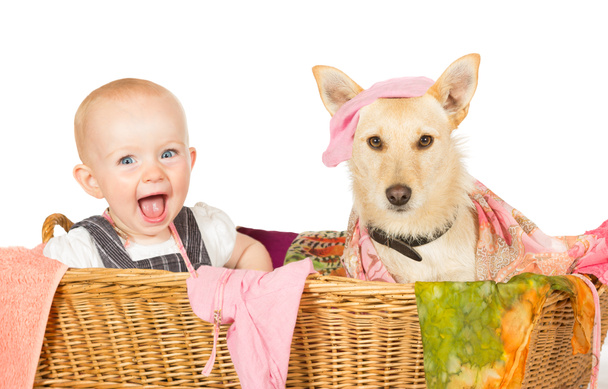 Bébé et chien dans le panier à linge
 - Photo, image