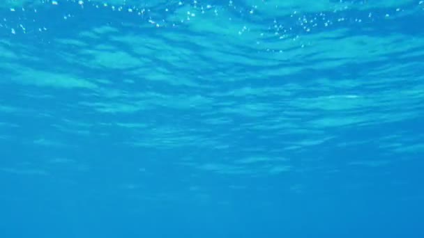 Splendid sea surface shot underwater with playful sparkles on sun rays in Egypt                        Arty sea surface background shot underwater with wavy surface, celeste waters and playful sparkles of sunny beams in the Red Sea in Egypt - Footage, Video