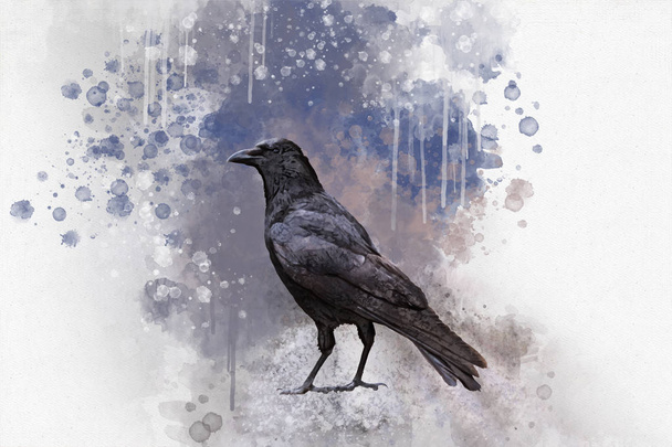 Portrait of a Crow bird, watercolor painting. Bird illustration - Photo, Image