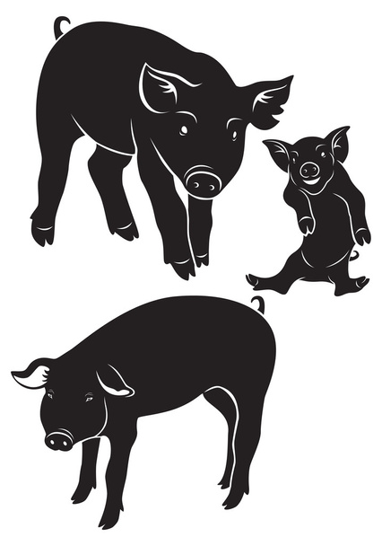 La figure montre un porc
 - Vecteur, image
