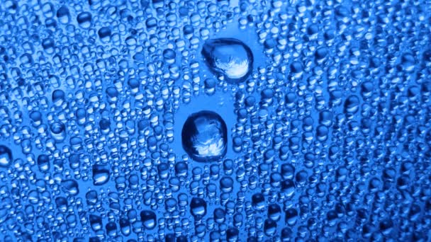 Krople wody na powierzchni szkła - Materiał filmowy, wideo