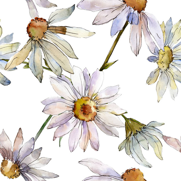 Százszorszép fehér virág botanikai virág. Vad tavaszi levél vadvirág elszigetelt. Akvarell illusztráció készlet. Akvarell, rajz aquarelle. Varratmentes háttérben minta. Anyagot a nyomtatási textúrát. - Fotó, kép
