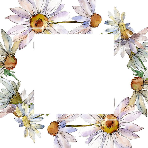 White daisy floral botanical flower. Wild spring leaf wildflower isolated. Watercolor background illustration set. Watercolour drawing fashion aquarelle isolated. Frame border ornament square. - 写真・画像