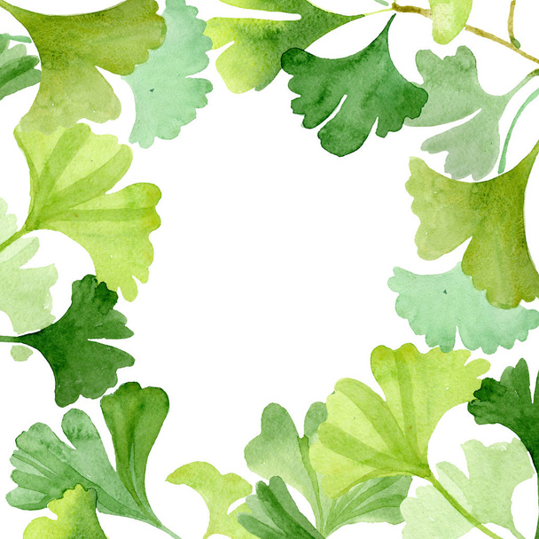 Ginkgo biloba green leaves. Leaf plant botanical garden floral foliage. Watercolor background illustration set. Watercolour drawing fashion aquarelle isolated. Frame border ornament square. - Фото, зображення