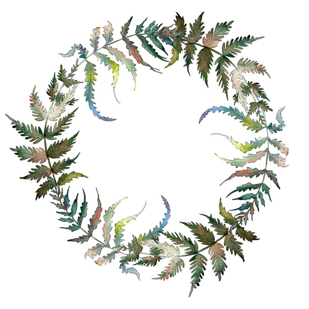 Fern Green leaf. Plant botanical garden floral foliage. Watercolor background illustration set. Watercolour drawing fashion aquarelle isolated. Frame border ornament square. - 写真・画像