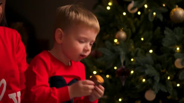 Children at Christmas tree eat cookies on Xmas eve. Family with kids celebrating Christmas at home. Boy opening presents. Holiday gifts for kid. - Video, Çekim