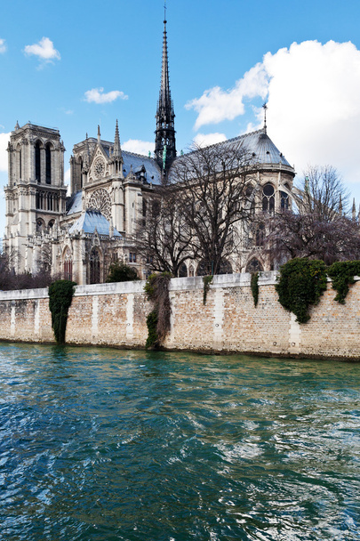 ノートルダム大聖堂パリとセーヌ川 - 写真・画像