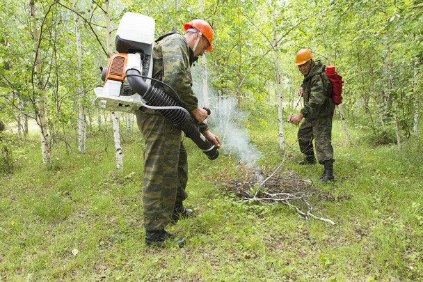 Bombeiros florestais realizam exercícios para evitar um incêndio na floresta. Bombeiros apagam fogo na floresta
 - Foto, Imagem