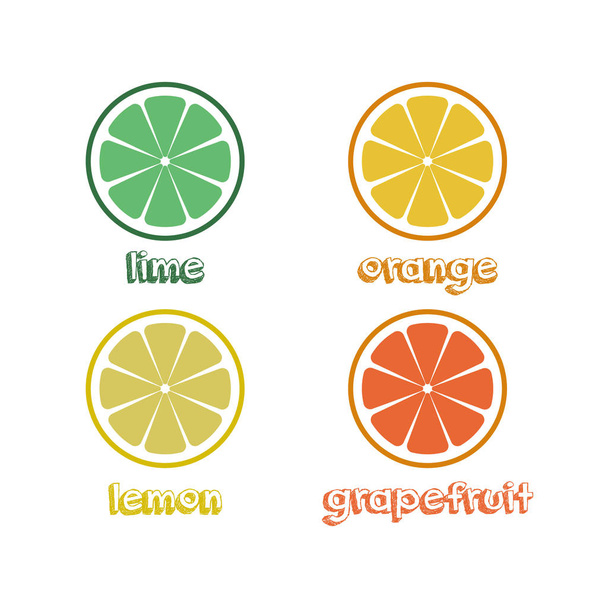Plátky čerstvých citrusových plodů. vektorové ilustrace. Sada vápna, citron, pomeranč a grapefruit s nápisem. - Vektor, obrázek
