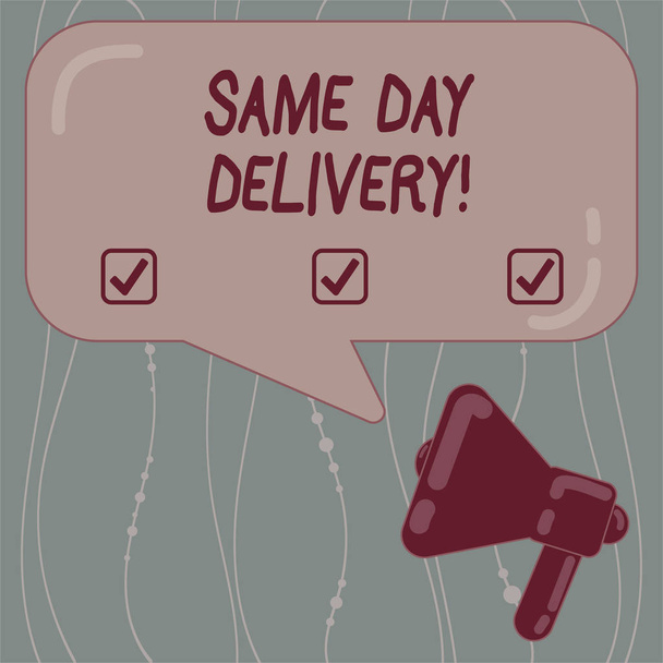 Text sign showing Same Day Delivery. Conceptual photo order will leave our warehouse Same date you ordered Megaphone photo and Blank Rectangular Color Speech Bubble with Reflection. - Photo, Image
