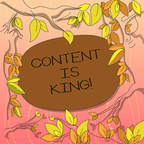 Signo de texto que muestra el contenido es rey. Foto conceptual El contenido es el corazón de las estrategias de marketing actuales Ramas de árboles diseminadas con hojas que rodean el espacio de texto en color en blanco
. - Foto, Imagen