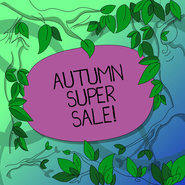 Handwriting text writing Autumn Super Sale. Concept meaning having great discounts products on season after summer Tree Branches Scattered with Leaves Surrounding Blank Color Text Space. - Photo, Image