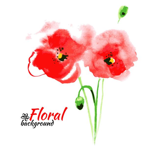 Beautiful watercolor paint red poppy. Vector illustration. Cards - Vector, Image