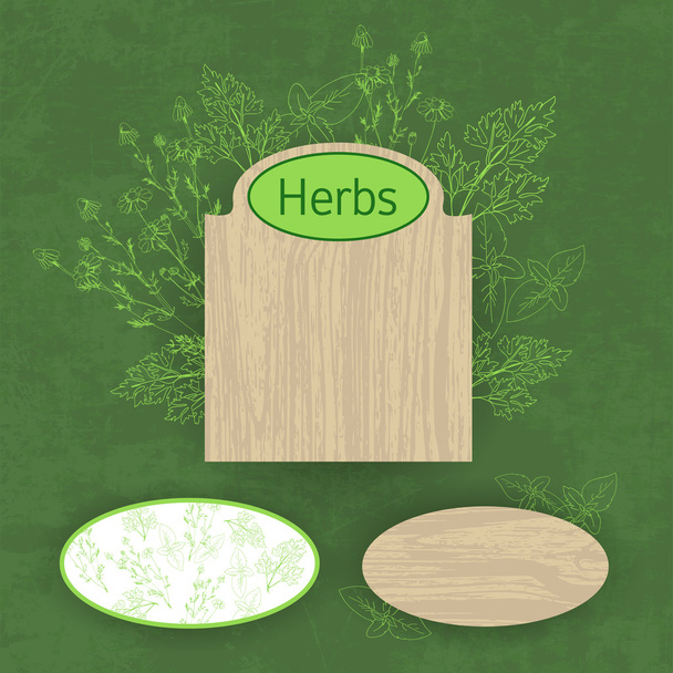 Green herbal background, vector illustration  - ベクター画像