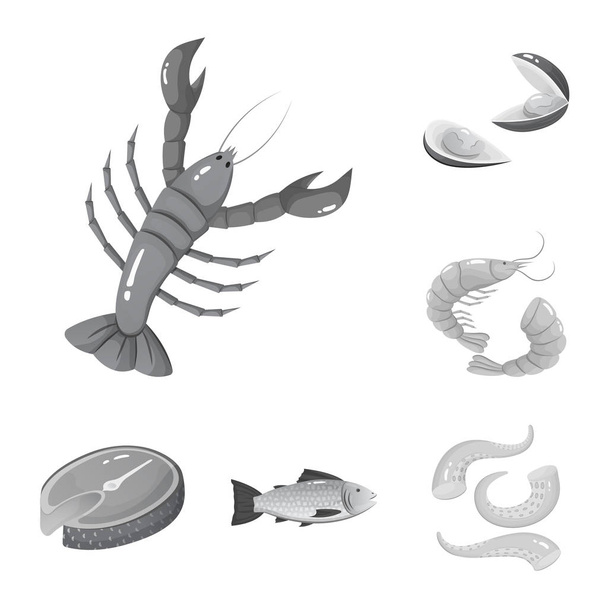 Isolated object of seafood and healthy icon. Collection of seafood and ocean stock vector illustration. - Vector, imagen
