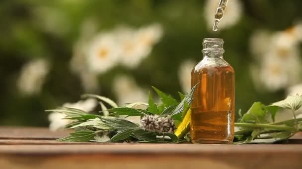 aceite esencial de hierba madre en una hermosa botella sobre la mesa
 - Imágenes, Vídeo