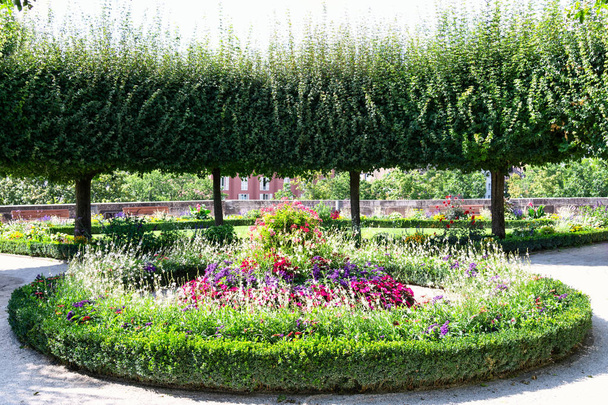 Vista del macizo de flores floreciente y árboles cuidadosamente recortados en el parque
. - Foto, imagen