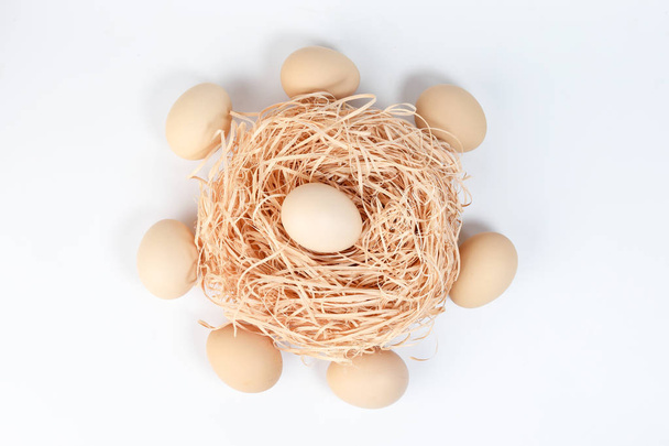 Vejce v hnízdě v kruhu vajec na bílém pozadí  - Fotografie, Obrázek