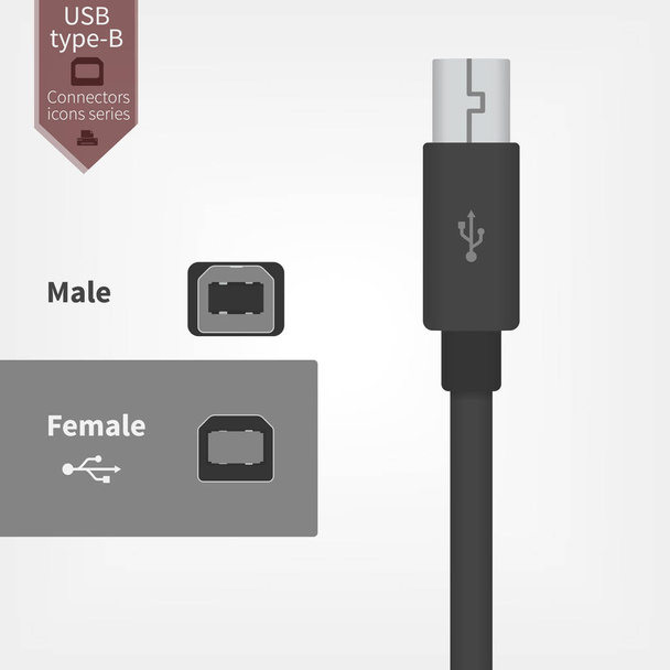 Icône vectorielle d'interface USB de type B. Prise de courant pour imprimantes et périphériques
 - Vecteur, image