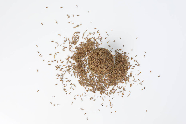 Cumin seeds dry whole powdered healthy aromatic spice jeera  - Foto, Imagem
