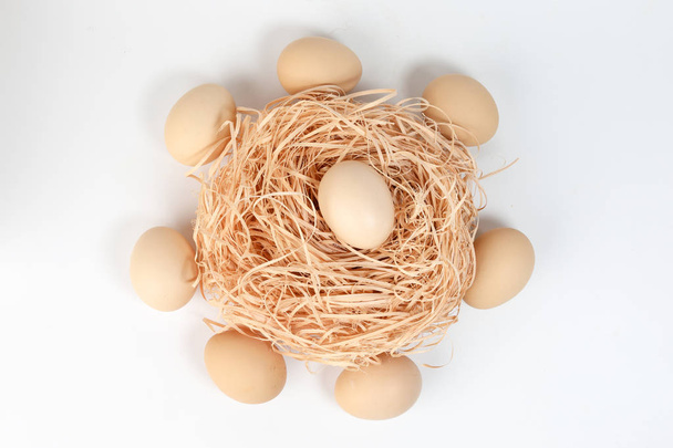 Egg on nest in circle of eggs on white background  - Zdjęcie, obraz