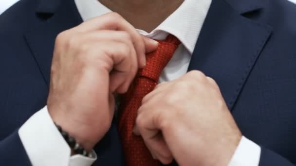 Empresario está corrigiendo lazo rojo en una camisa blanca
 - Imágenes, Vídeo