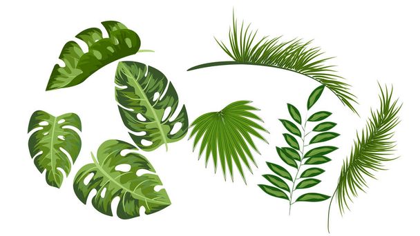 Tropical leaves collection drawing set vector isolated elements on white background,elements,flyers, invitation,brochure,spring,summer,banners,posters,white background,bag and t-shirt print - Vector, Image