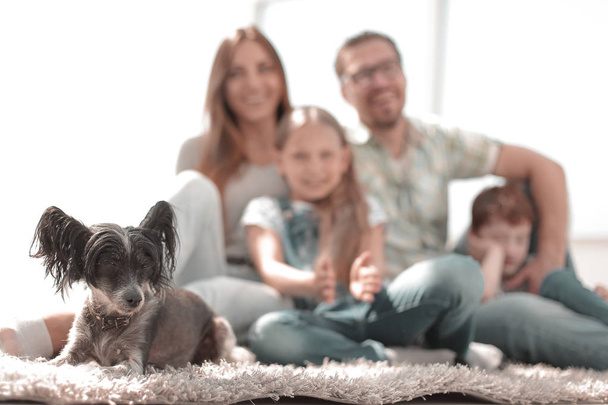 background image of happy family with pet - Fotó, kép
