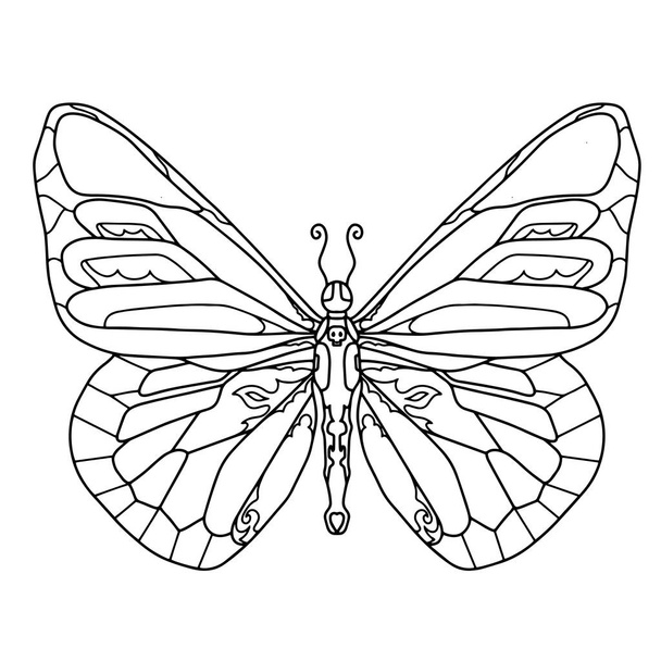 handgezeichneter Schmetterling für T-Shirt-Design oder Tätowierung. Malbuch für Kinder und Erwachsene. Vektorillustration - Vektor, Bild