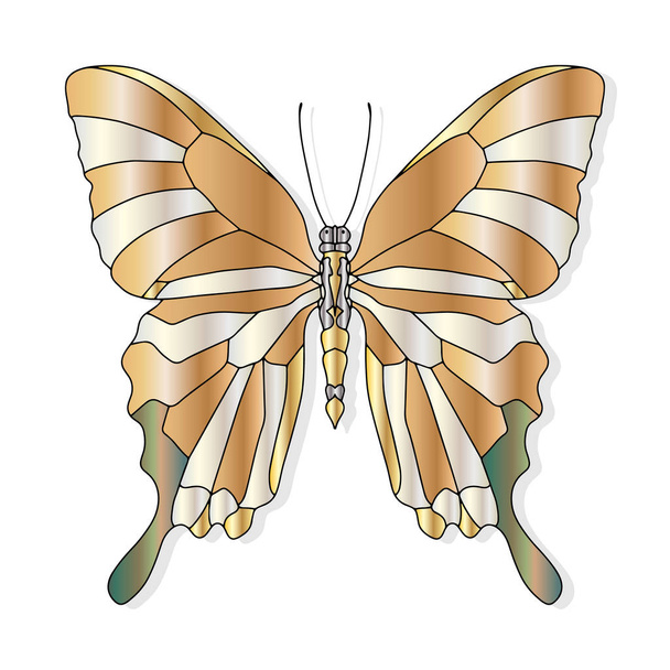 Hand drawn butterfly for t-shirt design or tattoo. Coloring book for kids and adults. Vector illustration - Vector, Image