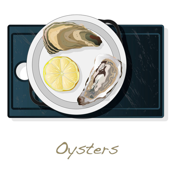 Imagens de vectorv de ostra recém-abertas colocadas na placa / prato isolado no fundo branco
. - Vetor, Imagem