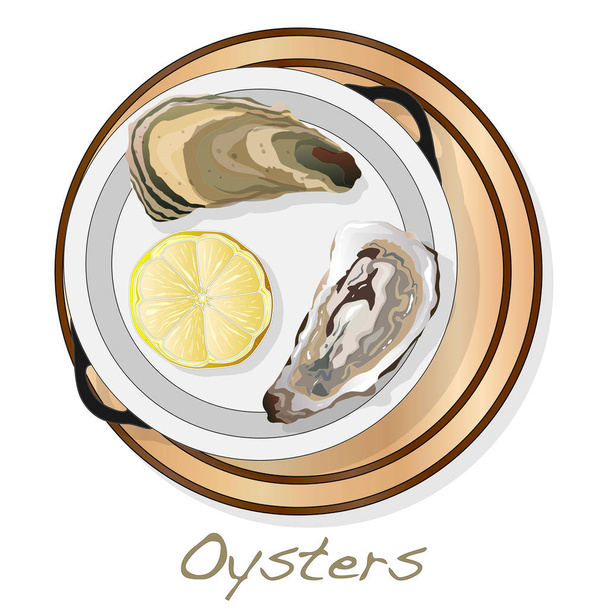 Frissen megnyitott oyster vectorv képek a lemez / étel a elszigetelt fehér háttér. - Vektor, kép