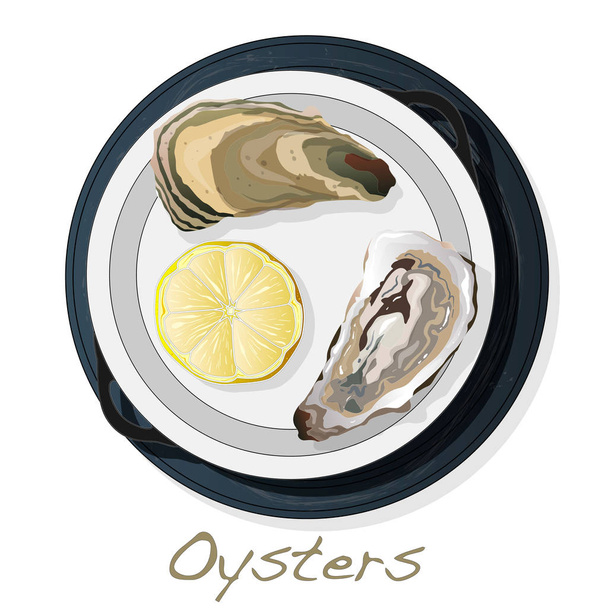 Frissen megnyitott oyster vectorv képek a lemez / étel a elszigetelt fehér háttér. - Vektor, kép