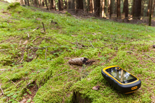 bir gps ile orman doğru pozisyonda bulma - Fotoğraf, Görsel