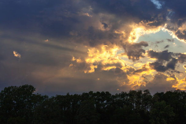 Un espectacular despliegue de luz desde el sol poniente en las nubes de tormenta con una abertura de cielo azul sobre una línea de árboles de primavera en sombra
. - Foto, imagen