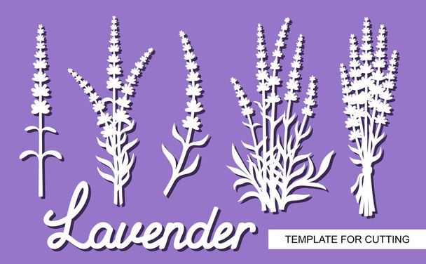 Set of lavender flowers. Silhouettes of twigs, bushes, inflorescences and the word Lavender. White objects on a purple background. Template for laser cutting, wood carving, paper cut or printing.  - Vector, Image