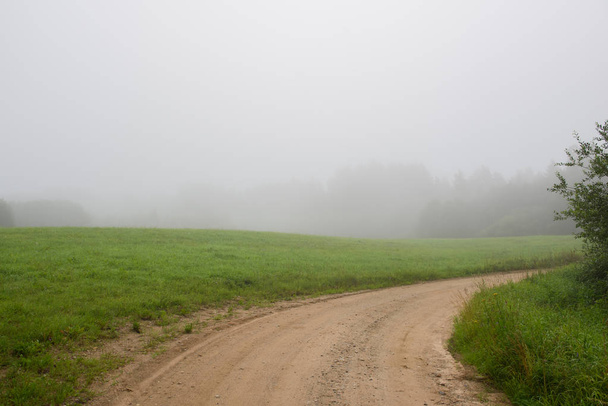 Τοπίο με ομίχλη στο δάσος την ημέρα - Φωτογραφία, εικόνα