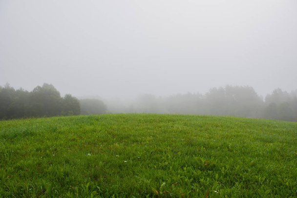 Ködös táj erdőben nappali - Fotó, kép