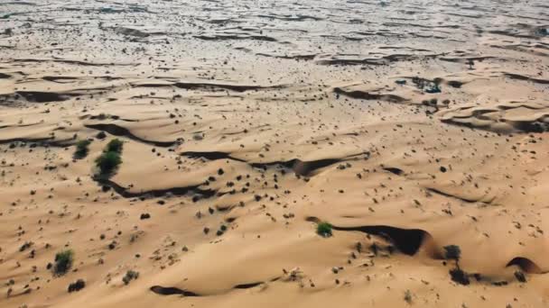 Αμμόλοφους της ερήμου και τεράστιο χώρο τοπίο εναέρια άποψη - Πλάνα, βίντεο