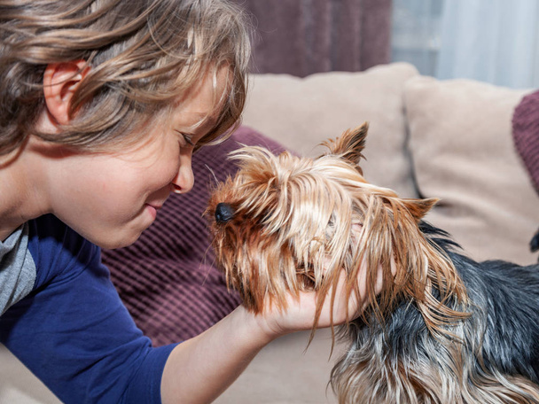 Le garçon caressa son chien Yorkshire terrier, gros plan
 - Photo, image