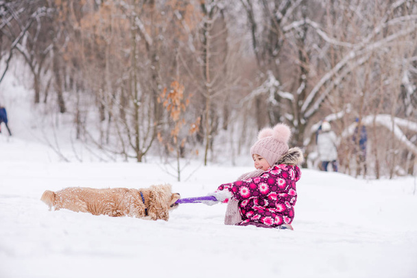 Зимнее веселье малышки в розовом и кокер-спаниель. Маленькая девочка хочет взять кольцо игрушки от собаки
. - Фото, изображение