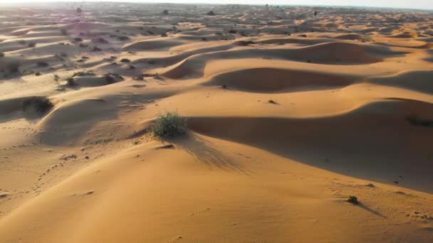 Wydmy pustyni i ogromna przestrzeń krajobraz z lotu ptaka - Materiał filmowy, wideo